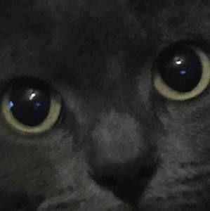 Meet your Posher, Cheryl